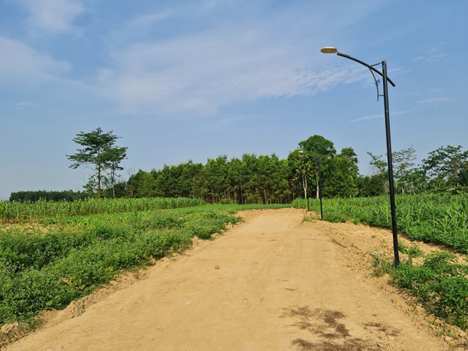 Bất động sản 24h: Tránh sập bẫy cò khi đầu tư nhà đất Bất động sản 24h: Tránh sập bẫy cò khi đầu tư nhà đất