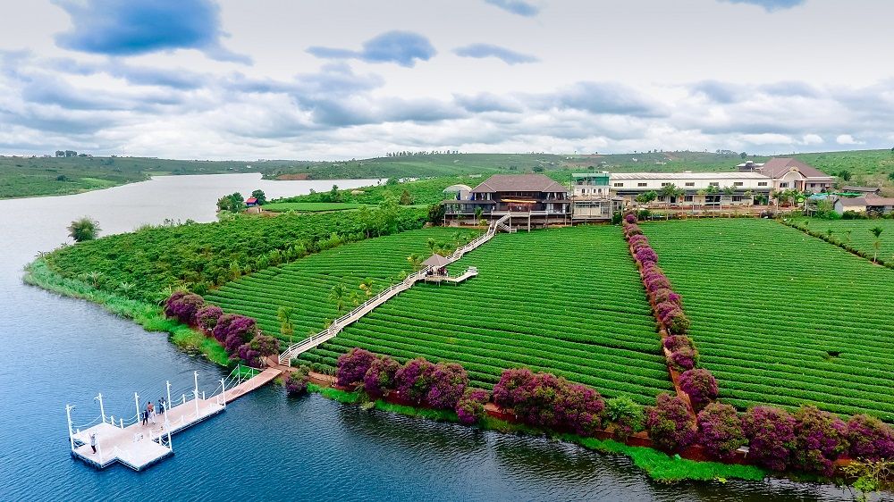 Đổ xô về huyện Lâm Hà, tỉnh Lâm Đồng để mua đất nền