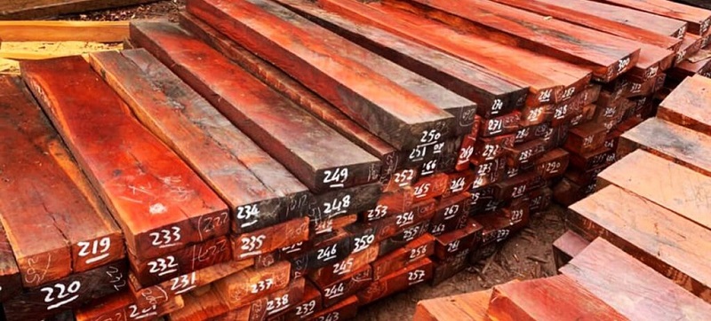 Phân loại gỗ Căm Xe