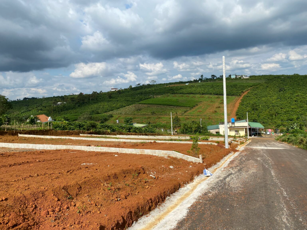 Giá nhà đất tại Bảo Lộc, Lâm Đồng đang diễn biến ra sao?