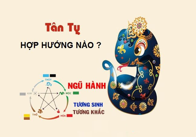 Gia chủ tuổi Tỵ chọn hướng xây nhà như thế nào?