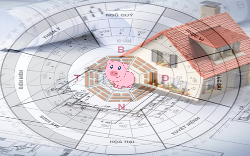 Gia chủ sinh năm 1983 tuổi Quý Hợi hợp hướng nào?