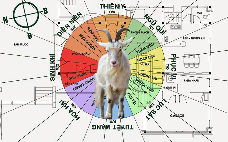 Gia chủ sinh năm 1991 tuổi tân mùi hợp hướng nào?