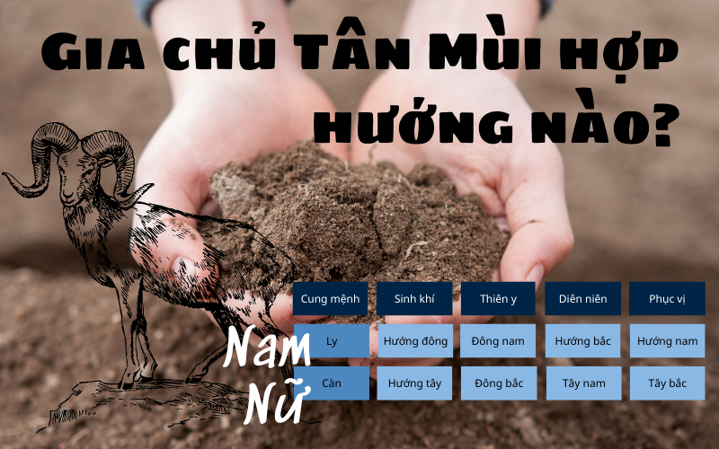 Gia chủ sinh năm 1991 tuổi tân mùi hợp hướng nào?