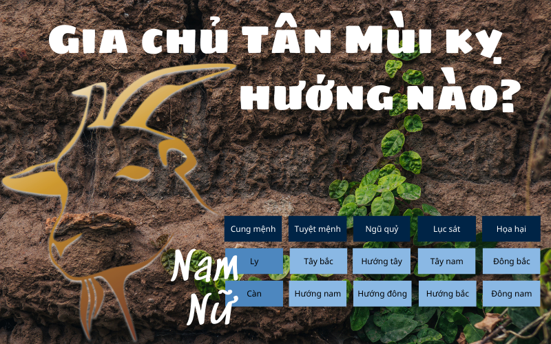 Gia chủ sinh năm 1991 tuổi tân mùi hợp hướng nào?