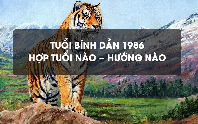 Sơ lược về tử vi gia chủ tuổi Bính Dần 1986