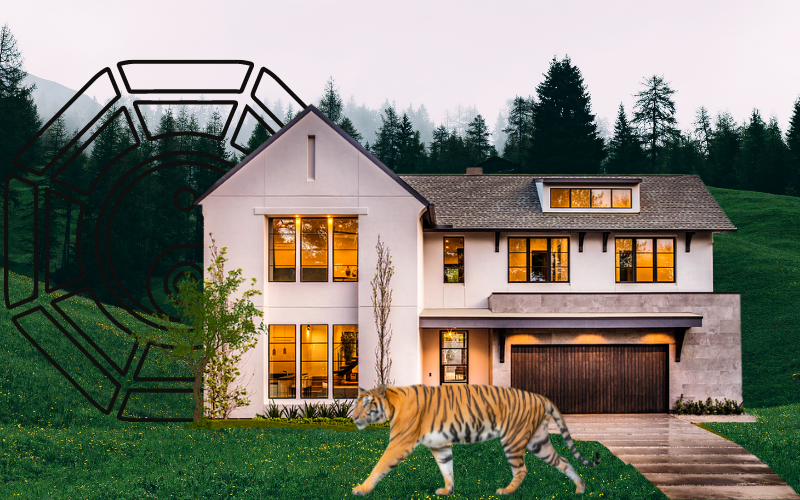 Bố trí phong thủy nhà ở hợp phong thủy tuổi Bính Dần 1986