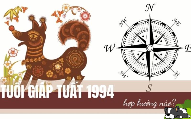 Phong thủy hướng nhà dành cho gia chủ tuổi Giáp Tuất 1994