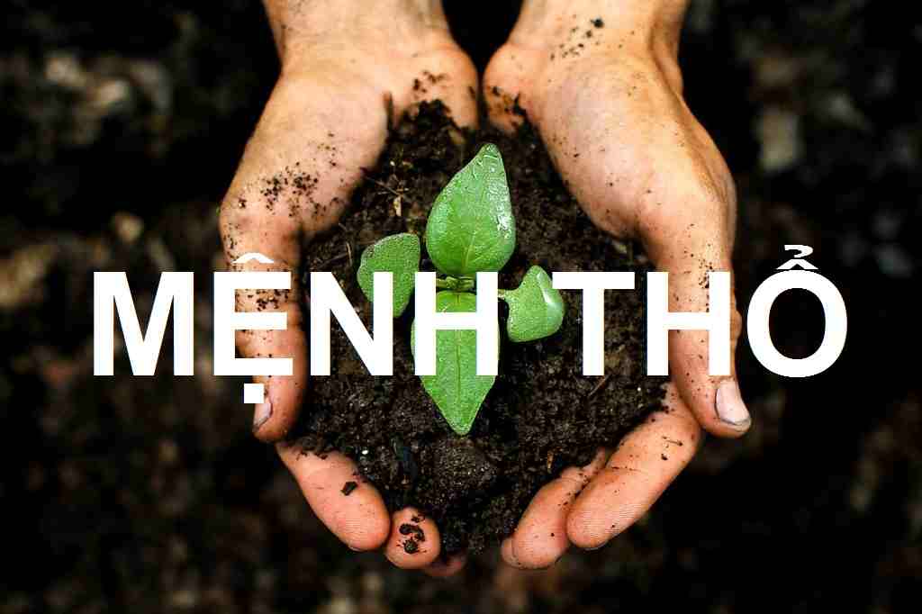 Mệnh Thổ tượng trưng cho đất đai