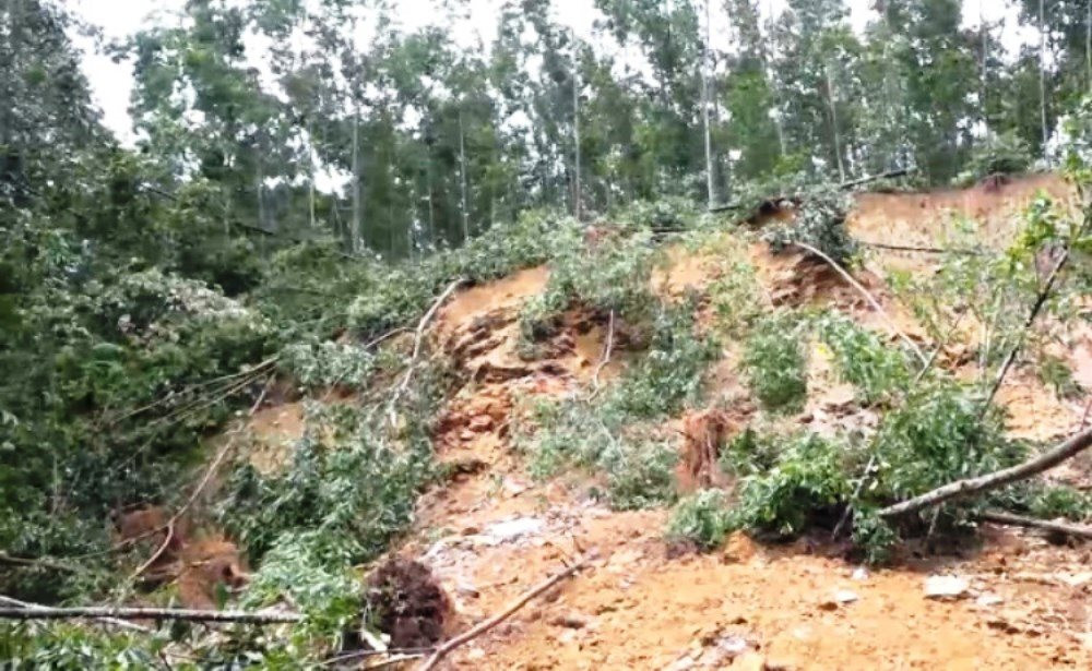 Xói mòn đất là gì? Nguyên nhân và giải pháp phòng tránh