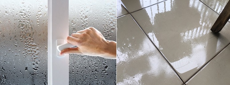 Xử lý nhà cửa ẩm ướt như thế nào trong mùa nồm ẩm?