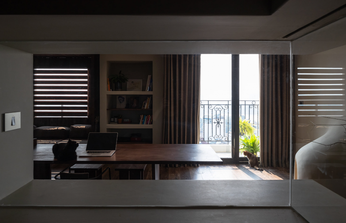 Căn hộ 2 phòng ngủ tối giản có hẳn nhà dành cho thú cưng của gia chủ độc thân tại Hà Nội