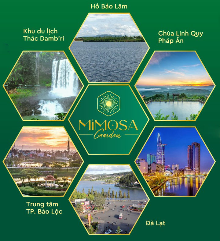 Mimosa Garden: Dự án đất nền tại Bảo Lâm