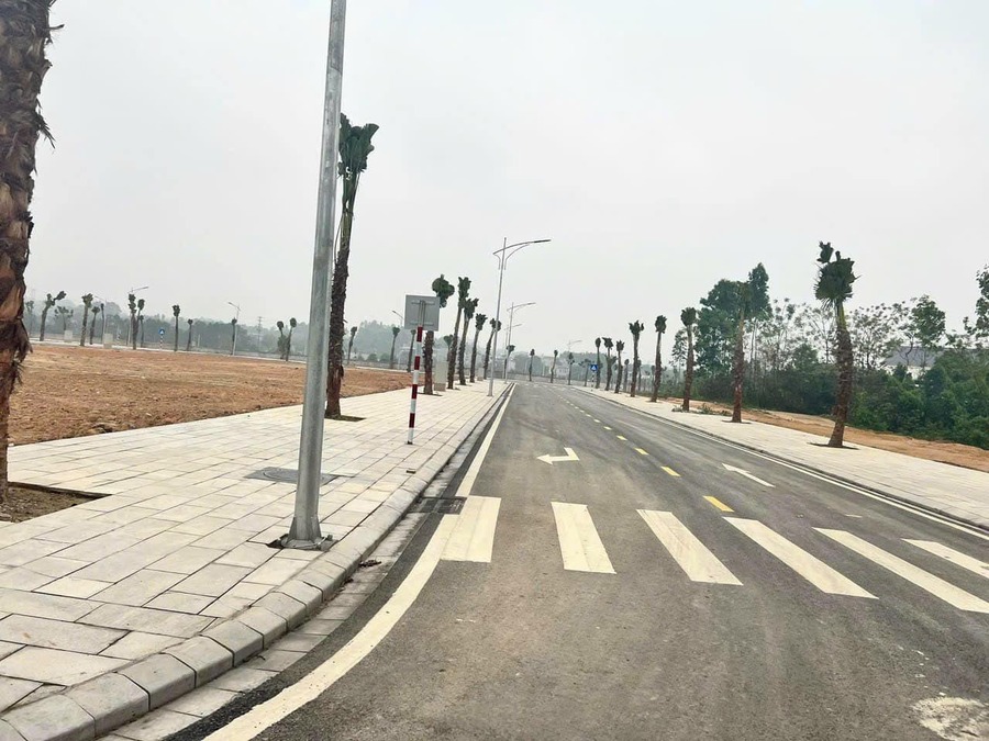 Spring City: Dự án khu đô thị tại Việt Trì
