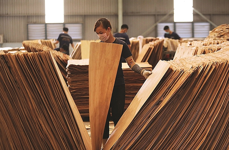 Hàng trăm doanh nghiệp ngành gỗ đối diện nguy cơ đóng cửa nhà máy, công nhân mất việc