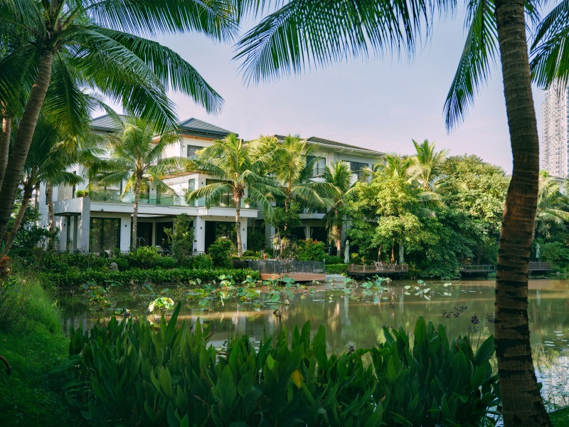 Nhà giữa Đảo, Đảo giữa Rừng Xanh