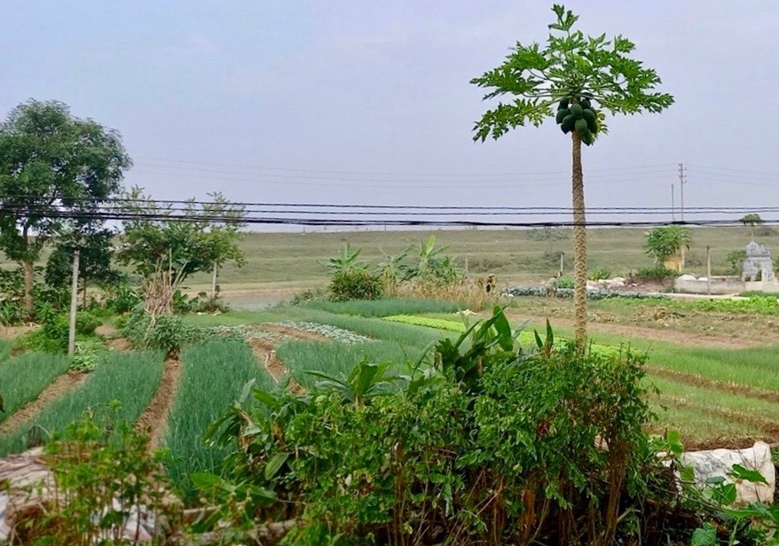 Hà Nội khởi công cụm công nghiệp thứ 5 tại huyện Phúc Thọ