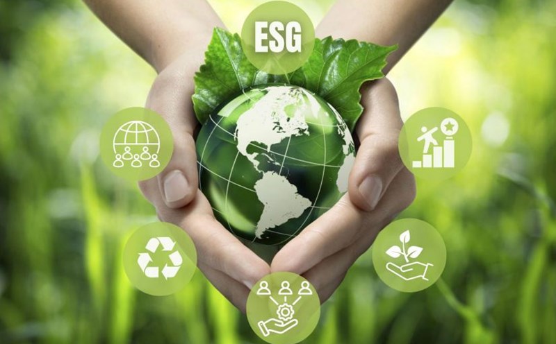 Thụy Sỹ tài trợ trên 3,3 triệu USD thực hiện kinh tế tuần hoàn tại Việt Nam- Ảnh 1. Thụy Sỹ tài trợ trên 3,3 triệu USD thực hiện kinh tế tuần hoàn tại Việt Nam- Ảnh 1.