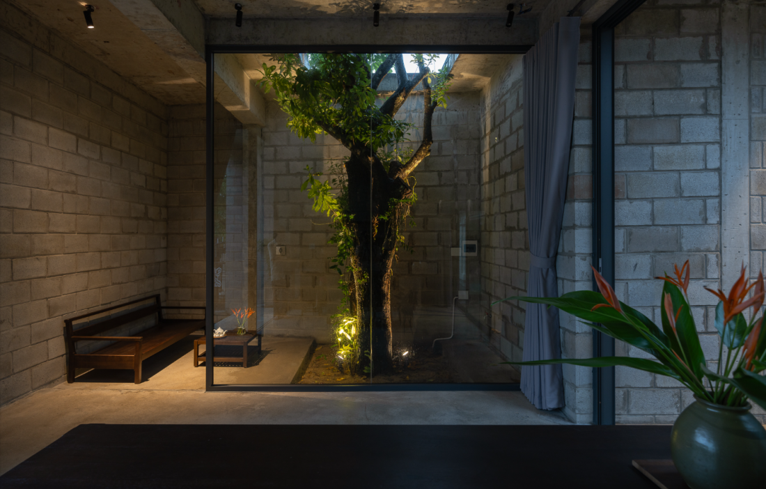 Nhà gạch bê tông cây mọc xuyên qua mái mang phong cách hiện đại tại Quảng Ngãi- Ảnh 3. Nhà gạch bê tông cây mọc xuyên qua mái mang phong cách hiện đại tại Quảng Ngãi- Ảnh 3.