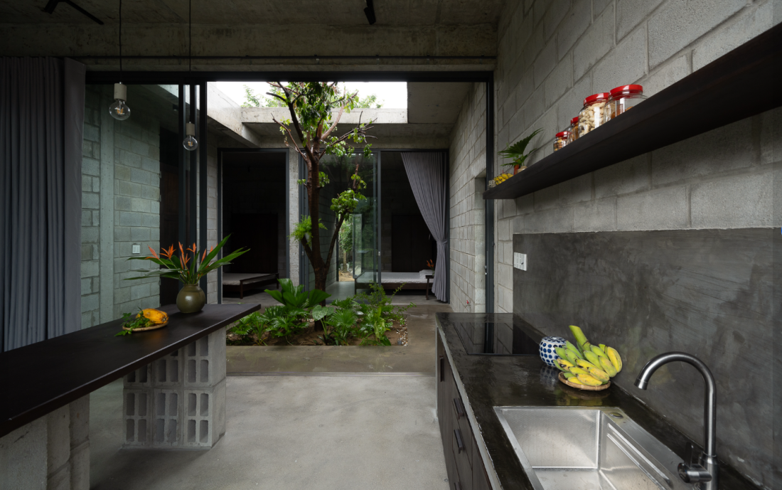 Nhà gạch bê tông cây mọc xuyên qua mái mang phong cách hiện đại tại Quảng Ngãi- Ảnh 4. Nhà gạch bê tông cây mọc xuyên qua mái mang phong cách hiện đại tại Quảng Ngãi- Ảnh 4.