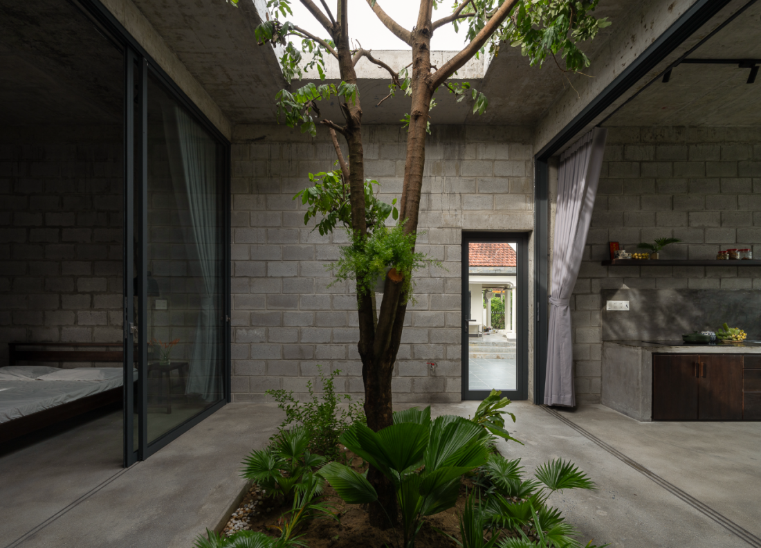 Nhà gạch bê tông cây mọc xuyên qua mái mang phong cách hiện đại tại Quảng Ngãi- Ảnh 7. Nhà gạch bê tông cây mọc xuyên qua mái mang phong cách hiện đại tại Quảng Ngãi- Ảnh 7.