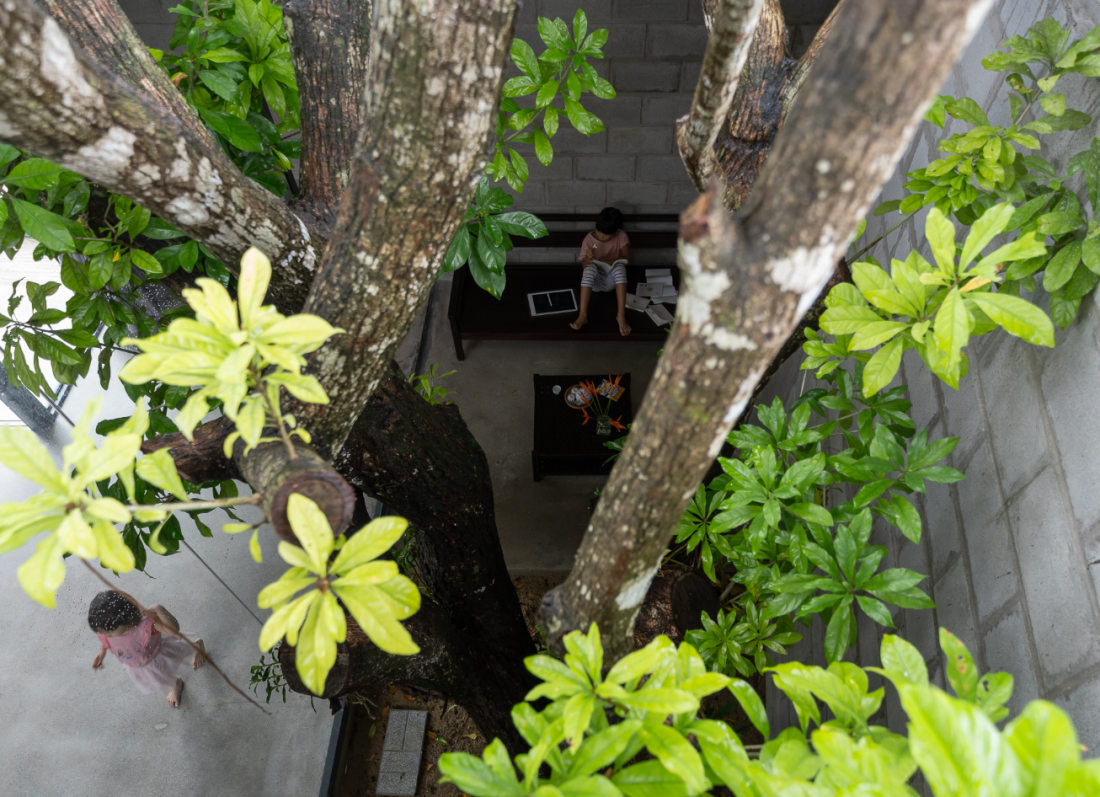 Nhà gạch bê tông cây mọc xuyên qua mái mang phong cách hiện đại tại Quảng Ngãi- Ảnh 9. Nhà gạch bê tông cây mọc xuyên qua mái mang phong cách hiện đại tại Quảng Ngãi- Ảnh 9.