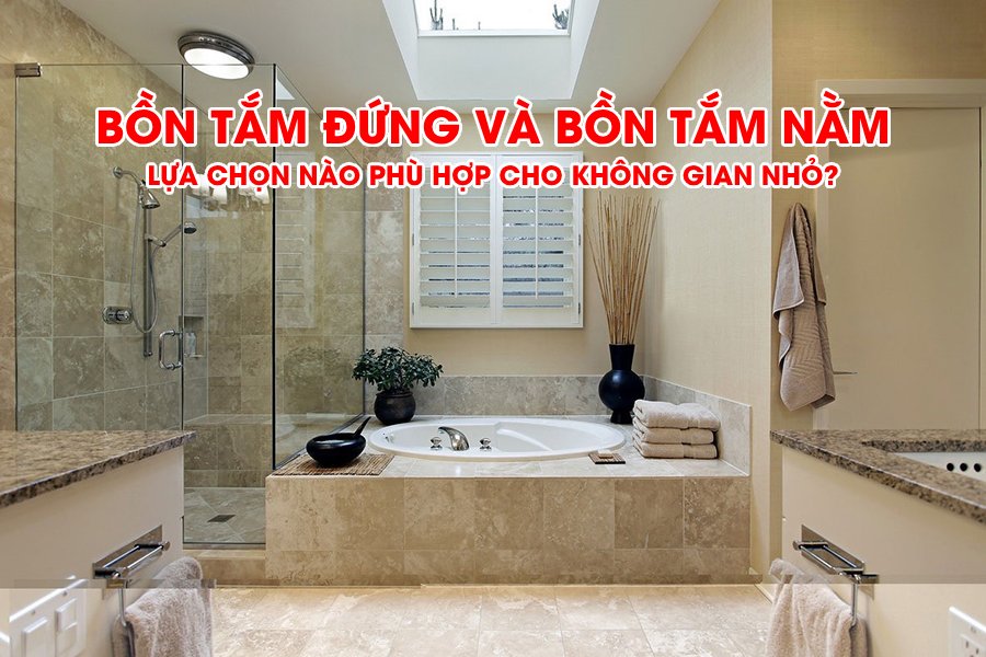 Bồn tắm đứng và bồn tắm nằm - Lựa chọn nào phù hợp cho không gian nhỏ?- Ảnh 1.