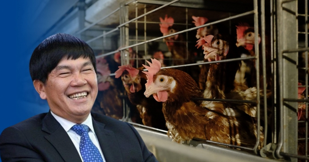 Bất ngờ: “Vua thép” lập kỷ lục bán… GÀ GIỐNG, vừa xuất lô hàng lớn vào Bình Thuận- Ảnh 1.