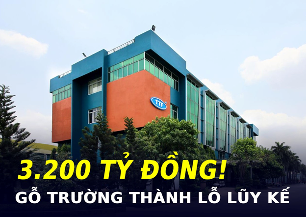 Đóng cửa chi nhánh, giải thể nhà máy cùng khoản lỗ lũy kế hơn 3.200 tỷ: Gỗ Trường Thành đang kinh doanh ra sao?- Ảnh 1.