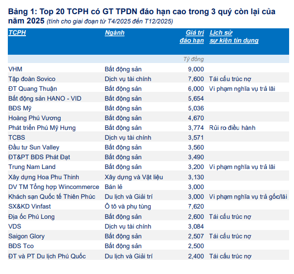 Đáo hạn trái phiếu 2025: Bất động sản vẫn là tâm điểm- Ảnh 4.
