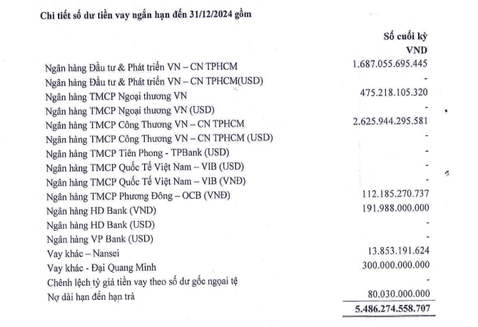 Ngân hàng nào đang là chủ nợ hơn 6.200 tỉ đồng của Thép Pomina?- Ảnh 2.