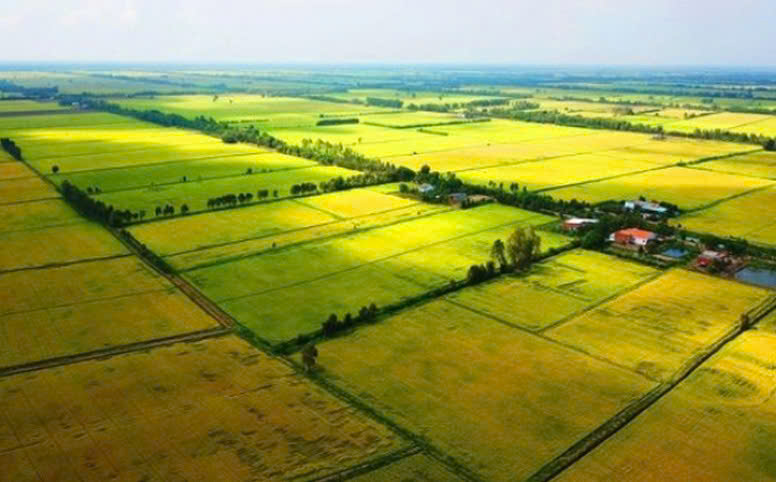 Thủ tục hòa giải tranh chấp đất đai tại UBND cấp xã năm 2025- Ảnh 1.