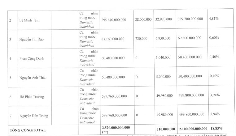 HAGL định phát hành 210 triệu cổ phiếu trả nợ- Ảnh 3.