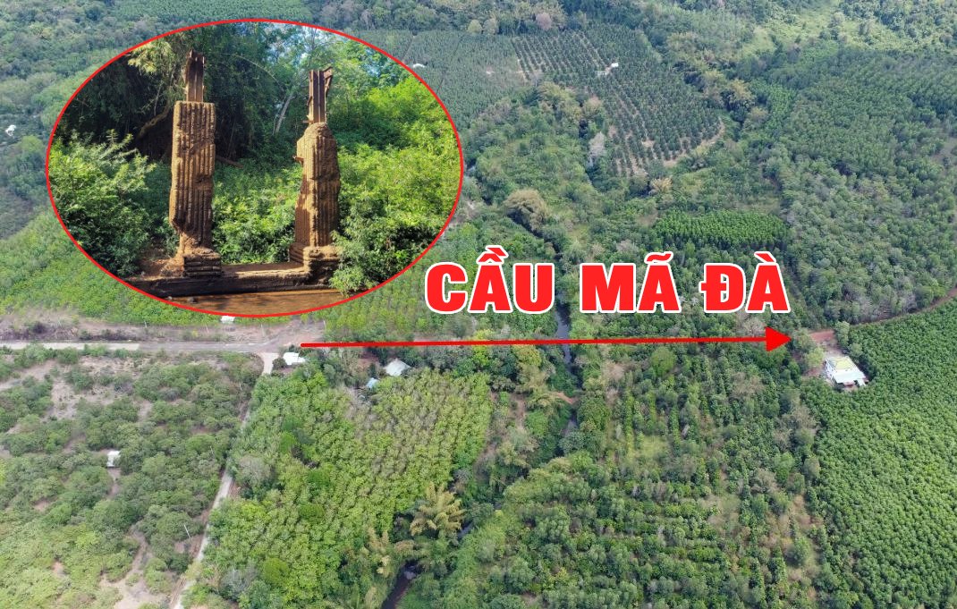 Chỉ đạo mới của lãnh đạo tỉnh Đồng Nai về dự án cầu Mã Đà, tiêu thoát nước ngoài sân bay Long Thành- Ảnh 1.