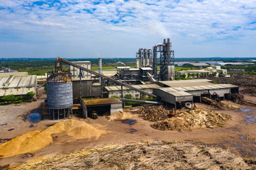 Một công ty gỗ đặt kế hoạch doanh thu cả triệu tỷ đồng… vì lỗi đánh máy- Ảnh 1.