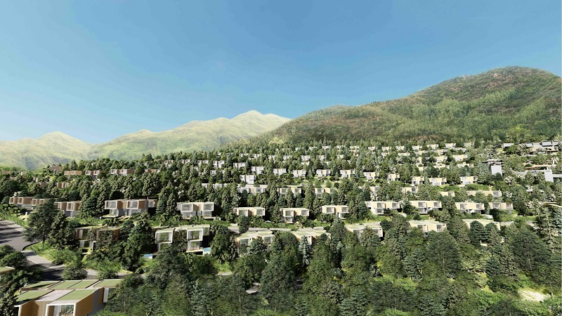 Dự án Phoenix Mountain Town Quy Nhơn: 400 tỷ đồng vốn góp của Bamboo Capital và công ty thành viên bị thu nợ- Ảnh 1.