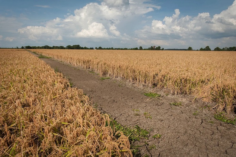 Ông Trump để ngỏ khả năng cứng rắn hơn với hiệp định thương mại nếu chính sách thuế quan thất bại- Ảnh 2. Ông Trump để ngỏ khả năng cứng rắn hơn với hiệp định thương mại nếu chính sách thuế quan thất bại- Ảnh 2.