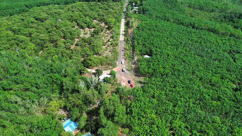 Đại Quang Minh muốn làm “trục xương sống” dài hơn 61km nối từ Đồng Xoài đến đường Vành đai 4  - TP.HCM- Ảnh 1.