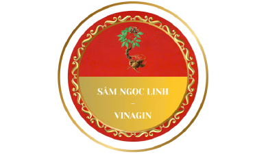 Nhà tài trợ 12