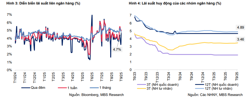 Tỷ giá ổn định, lãi suất khó tăng: Thị trường tiền tệ 2025 bước vào giai đoạn “dễ thở?- Ảnh 2.