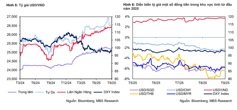 Tỷ giá ổn định, lãi suất khó tăng: Thị trường tiền tệ 2025 bước vào giai đoạn “dễ thở?- Ảnh 4.