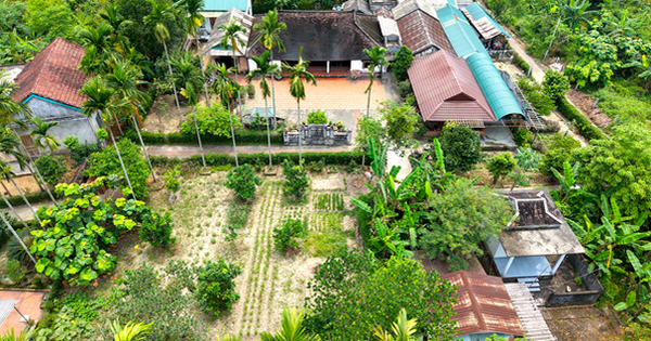 Phân quyền thực hiện thủ tục chuyển mục đích sử dụng đất