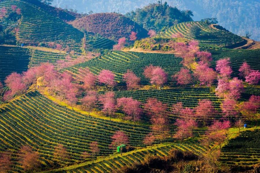 Lào Cai phê duyệt dự án khu đô thị sinh thái hơn 2.400 tỷ đồng