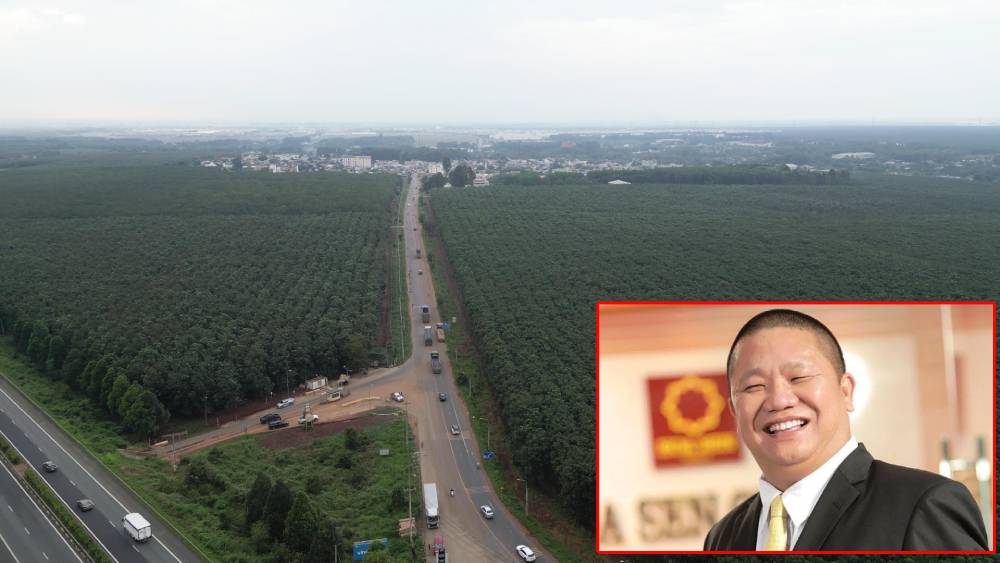 Hoa Sen vừa làm được điều chưa từng có trong nhiều năm trở lại đây