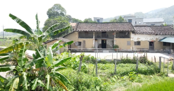 Hạn mức đất ở đối với đất khai hoang trước 18/12/1980