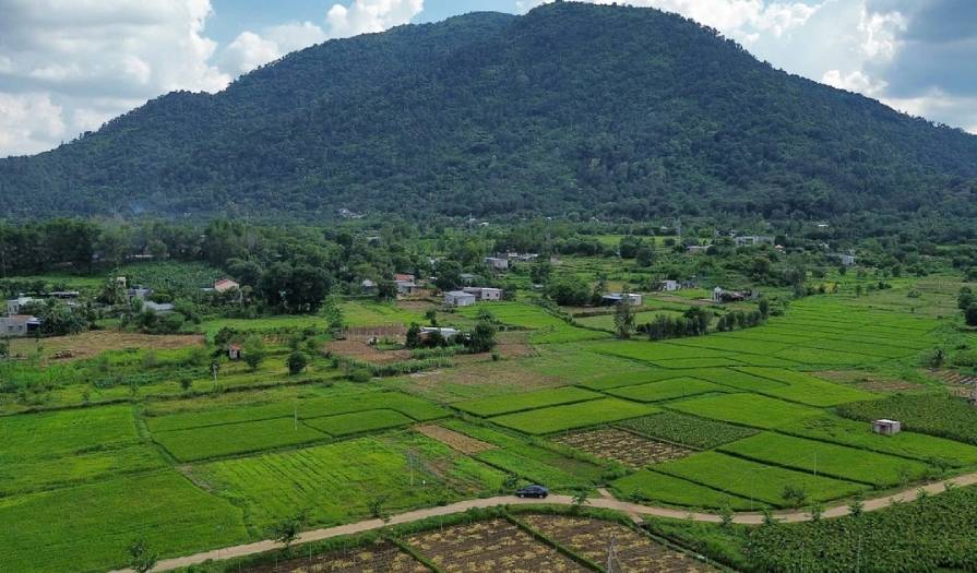 6 khu đất tại Đồng Nai chuẩn bị đấu giá - đây là DANH SÁCH chi tiết!