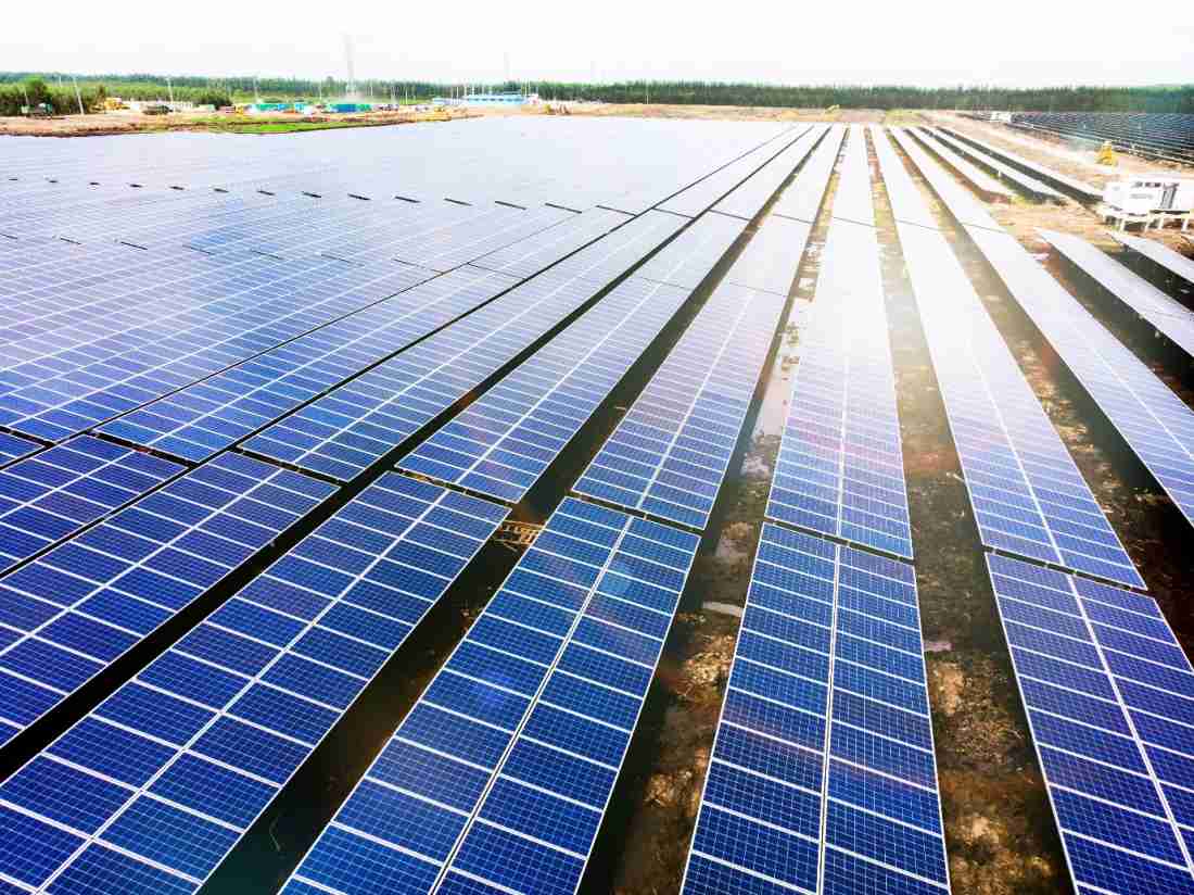 Bamboo Capital dự kiến họp cổ đông bất thường cuối tháng 12