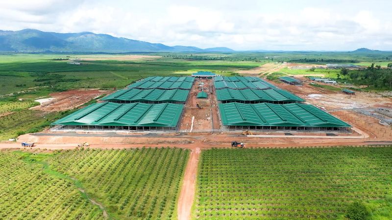 Thaco của tỷ phú Trần Bá Dương đang làm dự án nào tại Gia Lai?