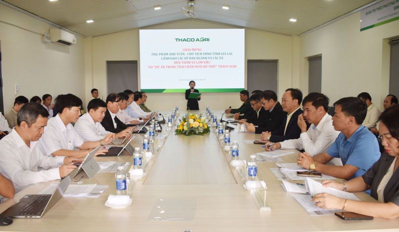 Thaco của tỷ phú Trần Bá Dương đang làm dự án nào tại Gia Lai?- Ảnh 1.