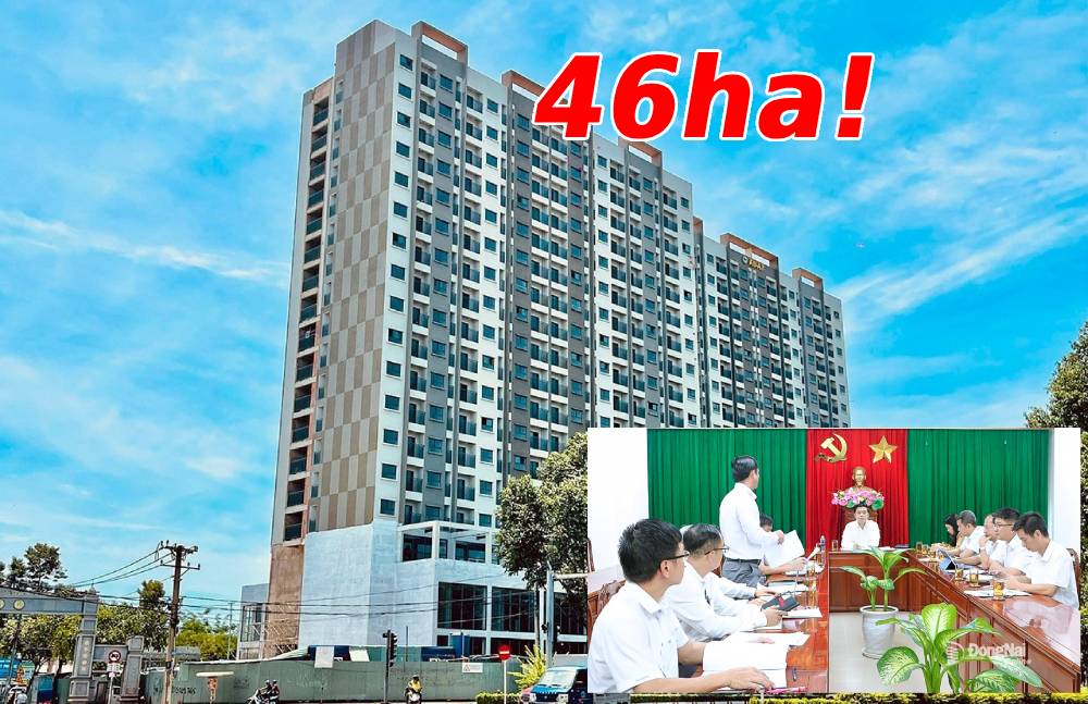 Hơn 46ha cho dự án nhà ở xã hội lớn nhất Đồng Nai